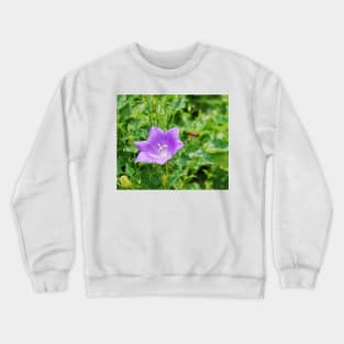 Campanula Carpatica with Bee Crewneck Sweatshirt